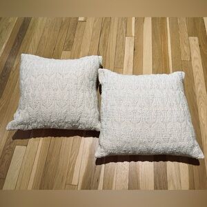 Pair of West Elm 20 in x 20 in Cotton Throw Pillows